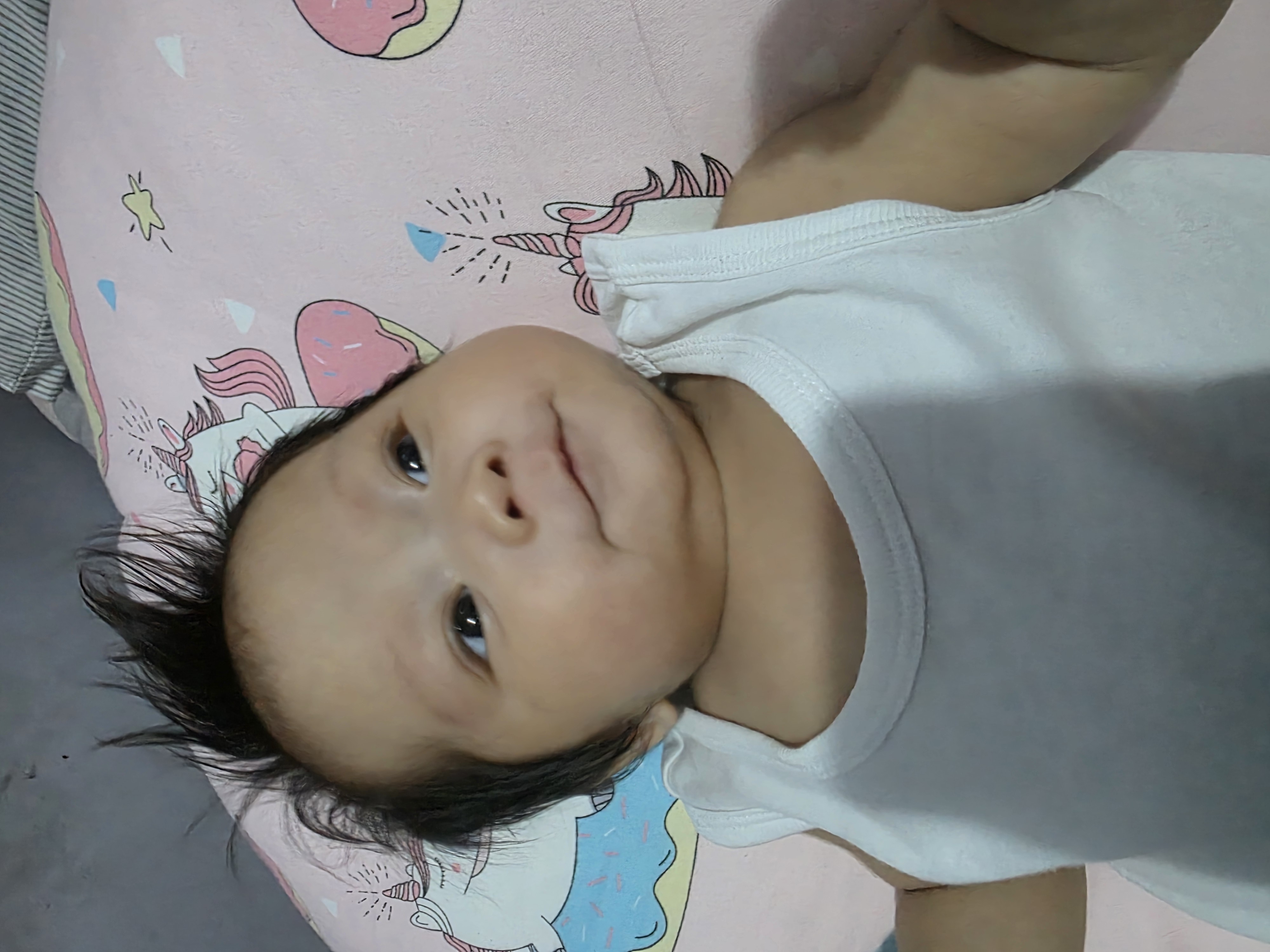 cd397dc602eaedbd_1773991608.jpg